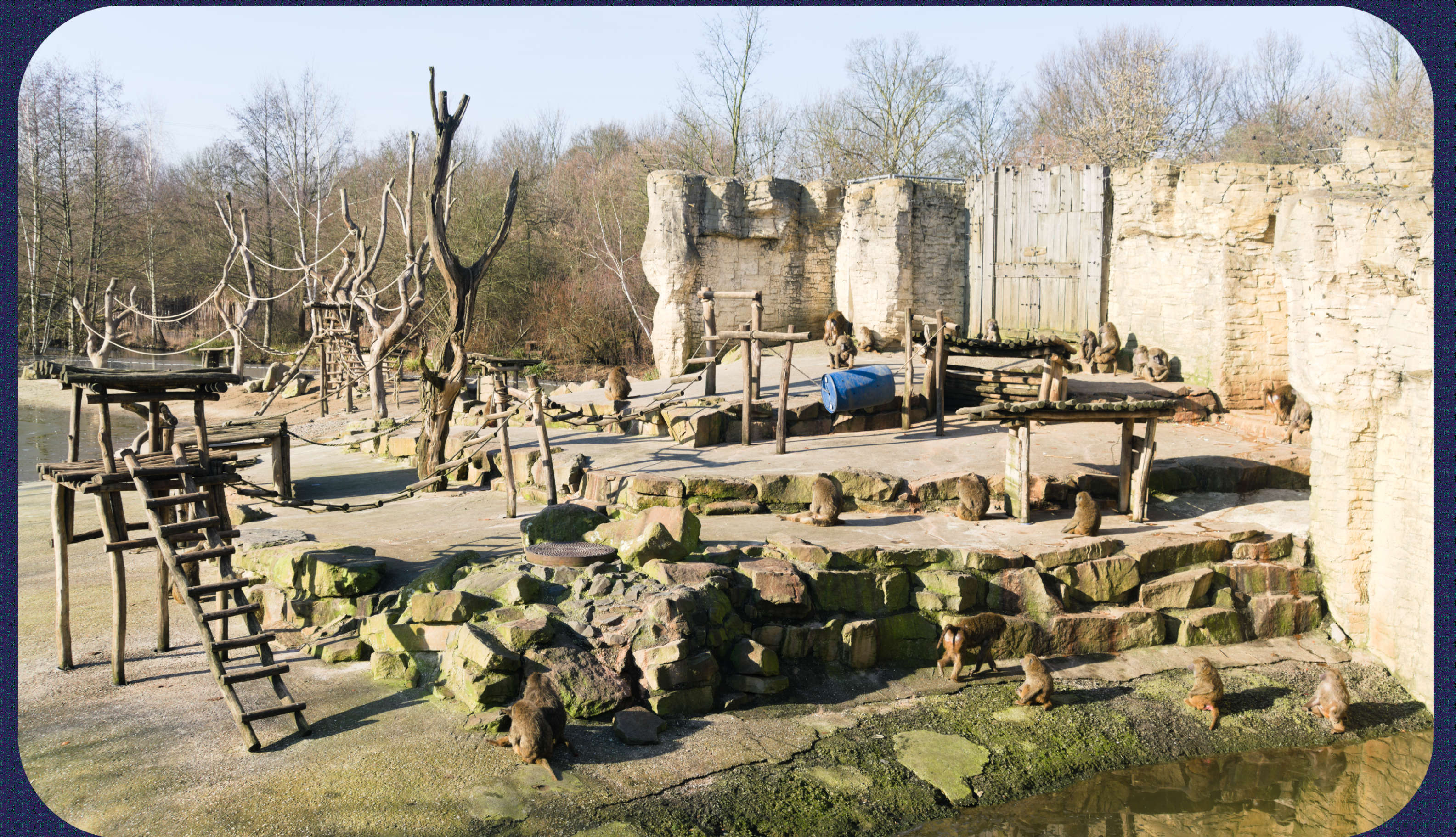 ZOOM Erlebniswelt